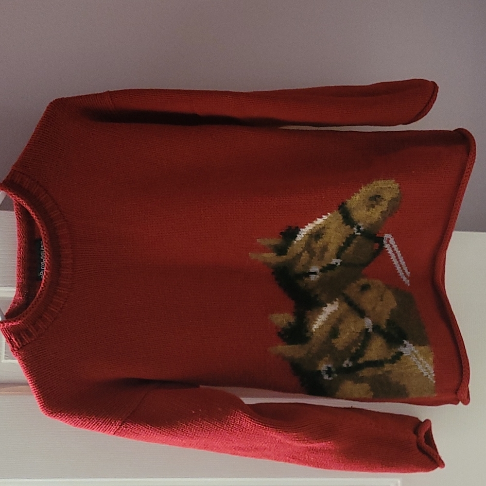 Kids Equestrian Heavy Sweater size 12